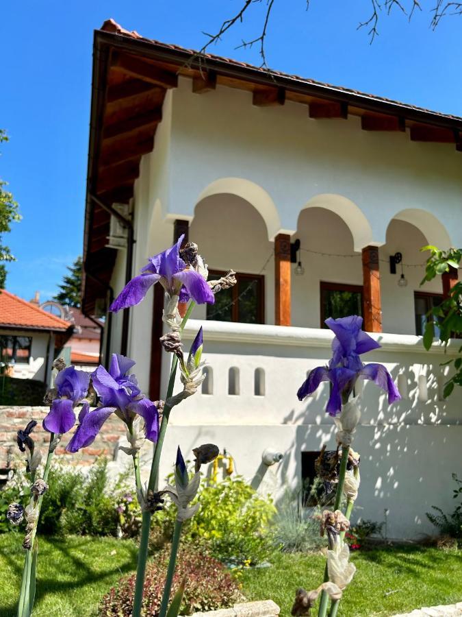 Conacul Grigorescu Ratesti Exterior photo