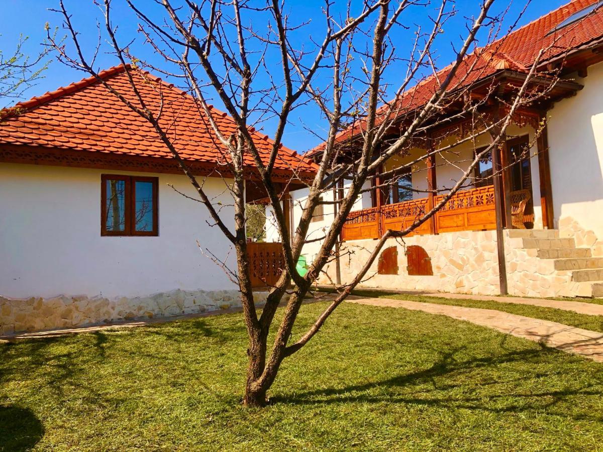 Conacul Grigorescu Ratesti Exterior photo